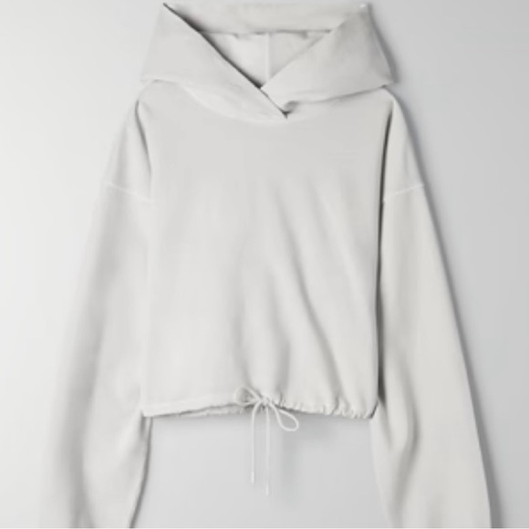 Aritzia Babaton Weekender Hoodie - Picture 3 of 5